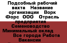 Подсобный рабочий вахта › Название организации ­ Ворк Форс, ООО › Отрасль предприятия ­ Семеноводство › Минимальный оклад ­ 30 000 - Все города Работа » Вакансии   . Башкортостан респ.,Баймакский р-н